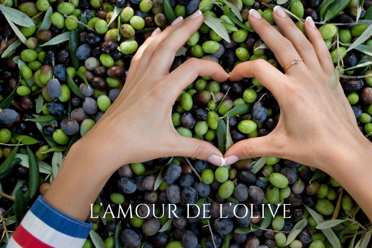 Libérer les bienfaits potentiels de la feuille d’olivier pour la santé : conseils pour intégrer cette plante ancienne à votre routine quotidienne