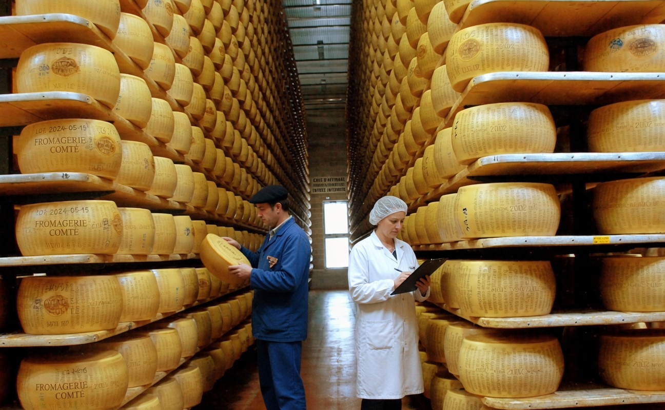 Découvrez le parmesan : une option riche en protéines avec plus de protéines que les œufs pour favoriser la santé musculaire après 60 ans
