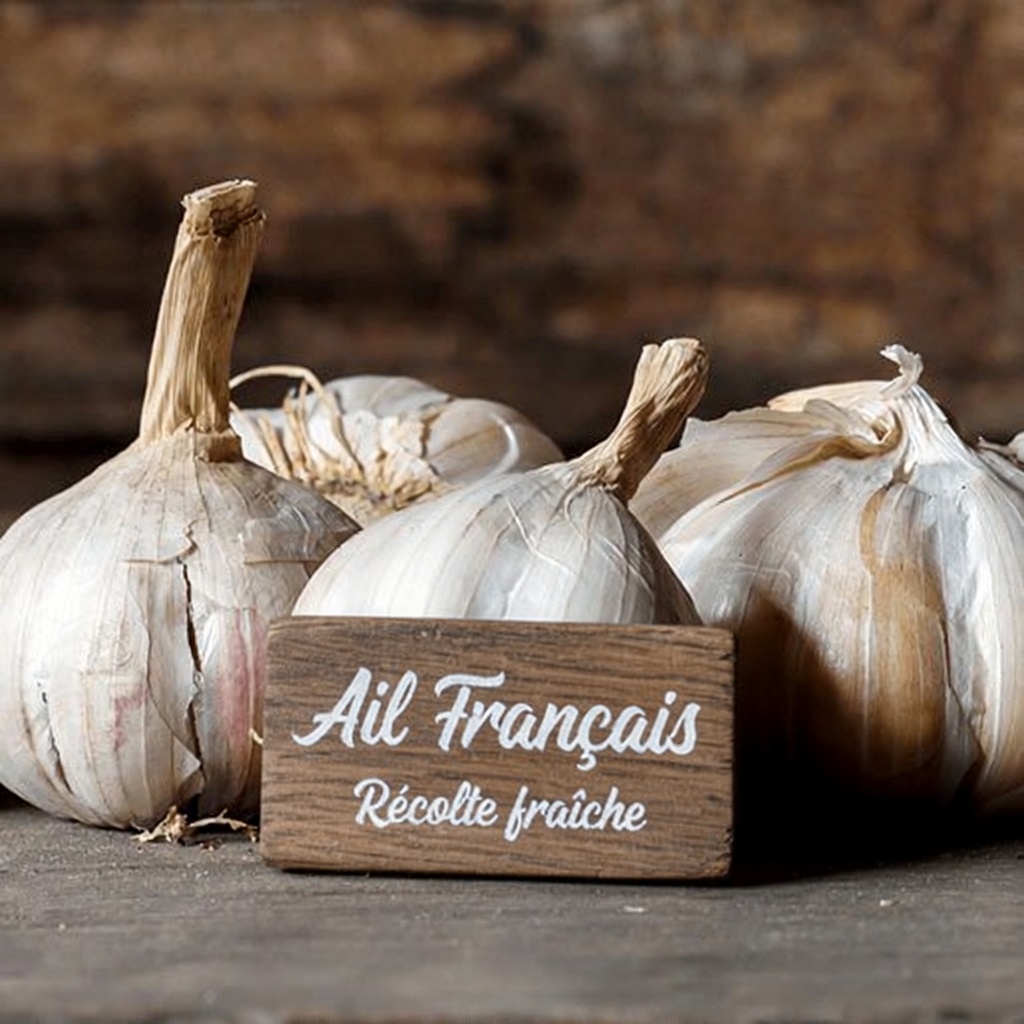 Comment l’ajout d’ail à votre alimentation peut-il aider à soutenir les défenses naturelles de votre corps contre les affections courantes ?