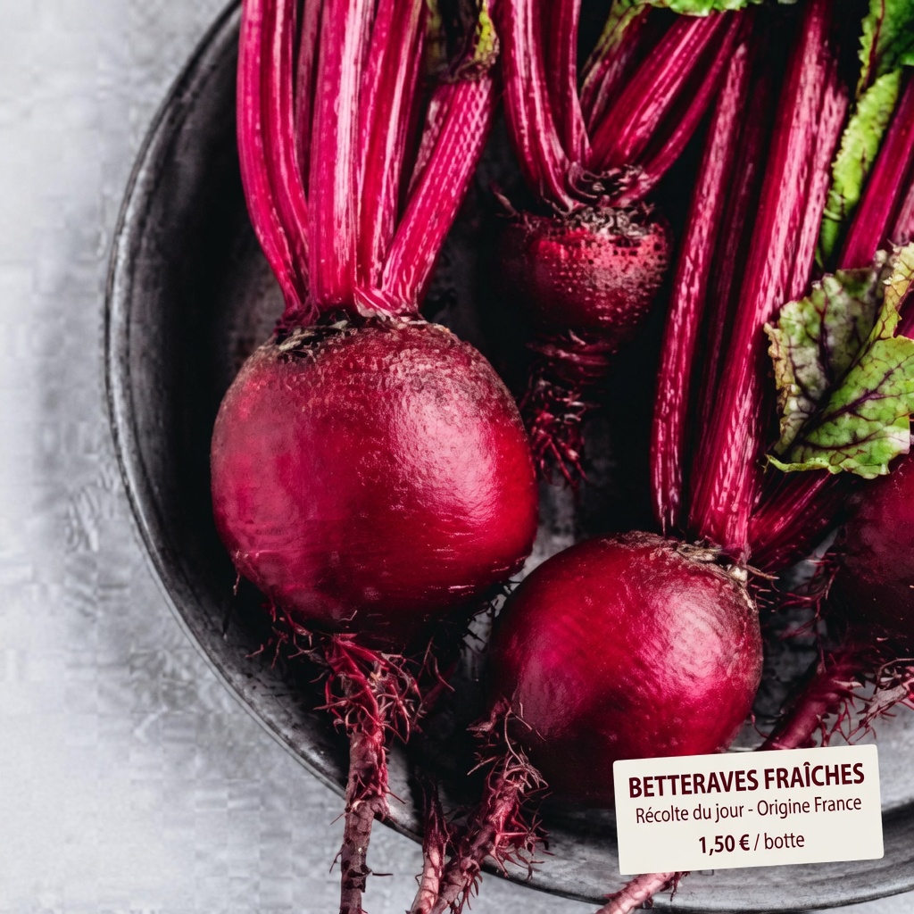 Aucun patient atteint des REINS ne devrait jamais risquer de perdre à nouveau sa fonction : 15 puissantes habitudes matinales pour soutenir la santé rénale et potentiellement ralentir le déclin