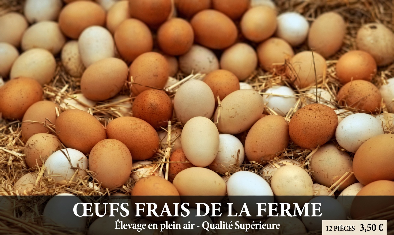 Le secret d’un prix Nobel de 96 ans pour rester vif d’esprit : les aliments qui favorisent la longévité du cerveau (étayés par une science révolutionnaire)