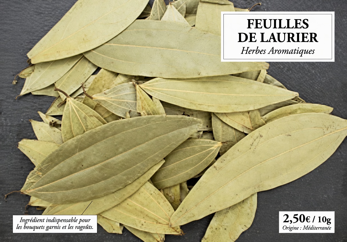 1 feuille qui fait baisser la glycémie, fait fondre la graisse et débouche les artères RAPIDEMENT – La science choquante derrière la centrale cachée de la nature