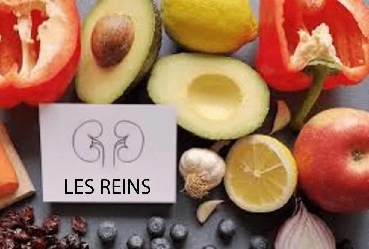 Top 6 des superaliments qui peuvent favoriser une fonction rénale saine et aider à gérer naturellement la protéinurie