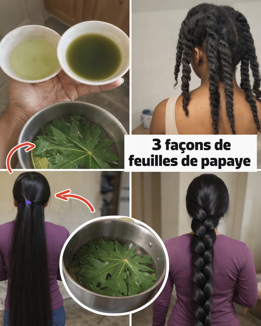 La pousse des cheveux crépus 4C vous semble lente avec de la casse et des pellicules ? Découvrez comment les feuilles de papaye peuvent favoriser des mèches plus épaisses et la santé du cuir chevelu