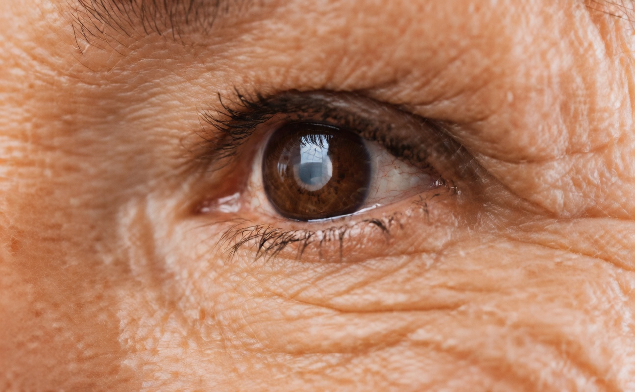 Une simple herbe de cuisine pourrait-elle aider à favoriser durablement le confort et la clarté de vos yeux ?