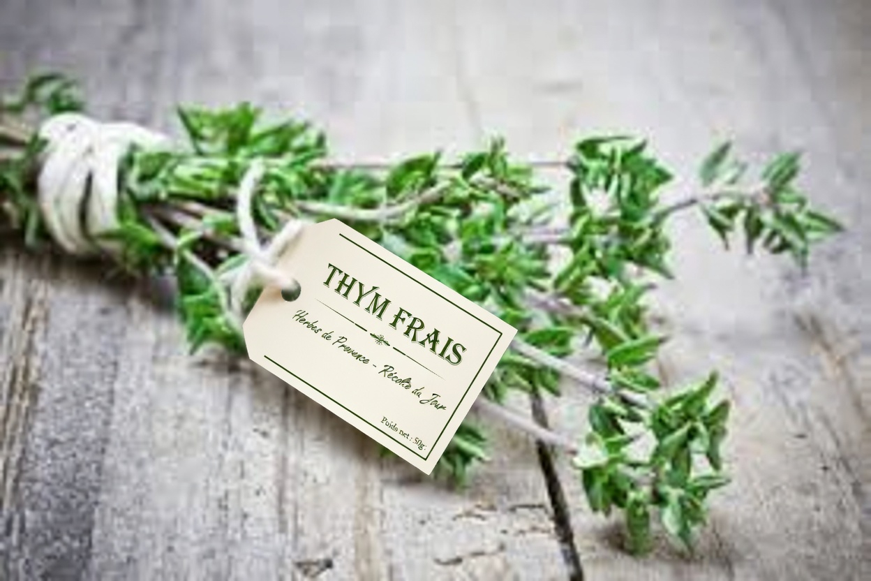 Découvrez le thym pour le bien-être au quotidien : 35 bienfaits, propriétés clés et recettes naturelles simples à essayer à la maison