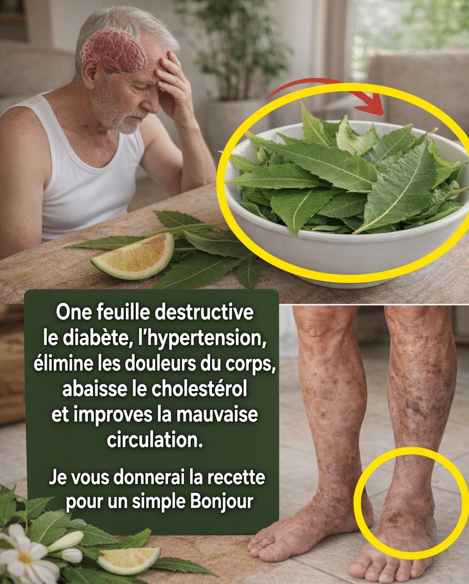 Feuilles de neem pour une meilleure santé : bienfaits, utilisations pratiques et façons sûres de les intégrer naturellement
