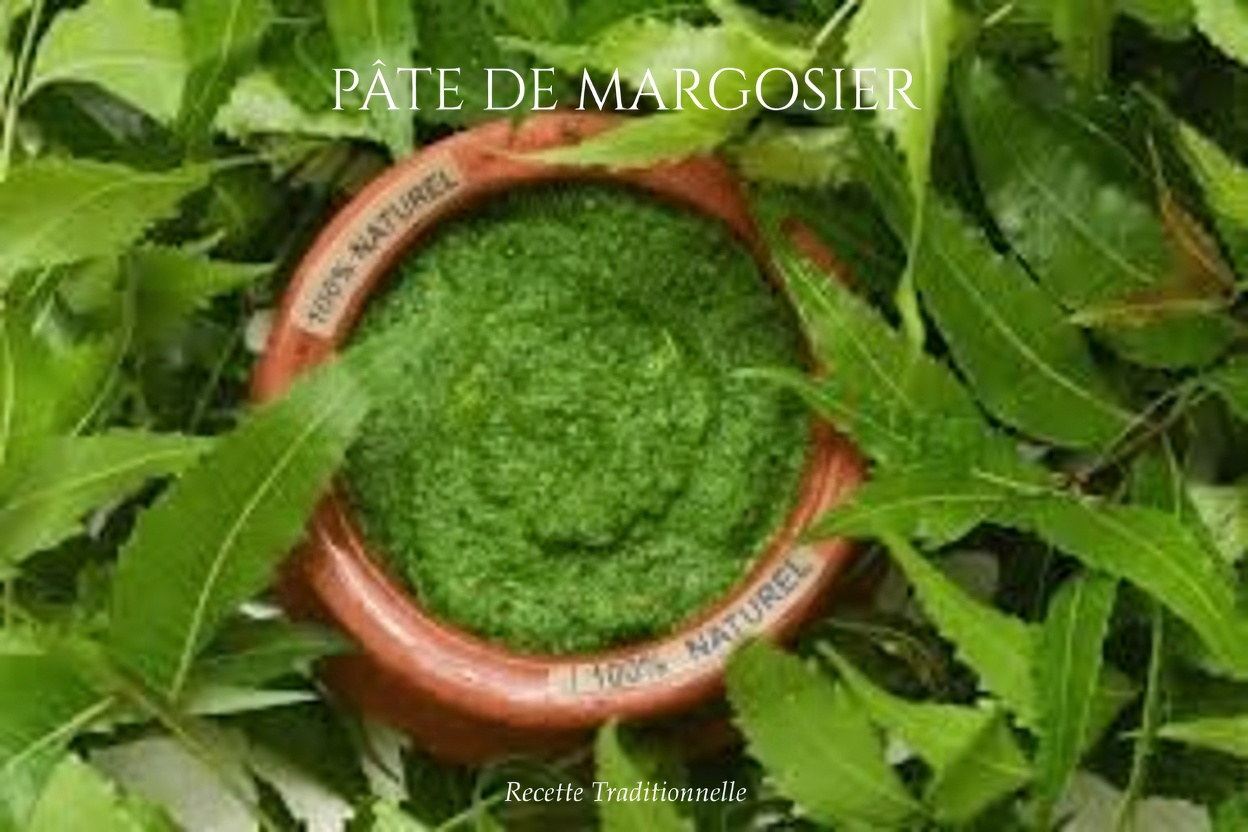 Feuilles de neem pour une meilleure santé : bienfaits, utilisations pratiques et façons sûres de les intégrer naturellement