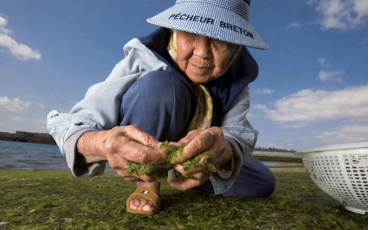 Des médecins japonais ayant vécu au-delà de 100 ans viennent de révéler : faites cette seule chose simple pendant vos repas et vos cellules resteront jeunes pour toujours