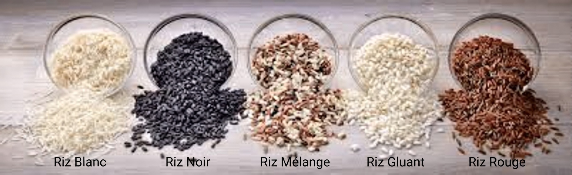 Découvrez les 3 meilleures variétés de riz que vous pouvez consommer quotidiennement pour soutenir naturellement la santé des reins