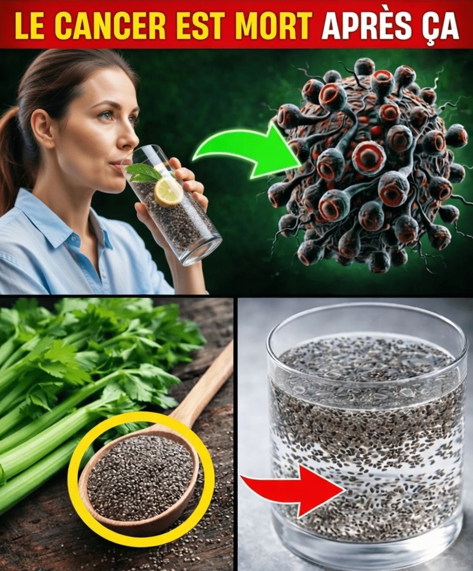 Le cancer a peur de ces aliments : découvrez les 16 meilleurs choix à base de plantes qui peuvent contribuer à la prévention du cancer