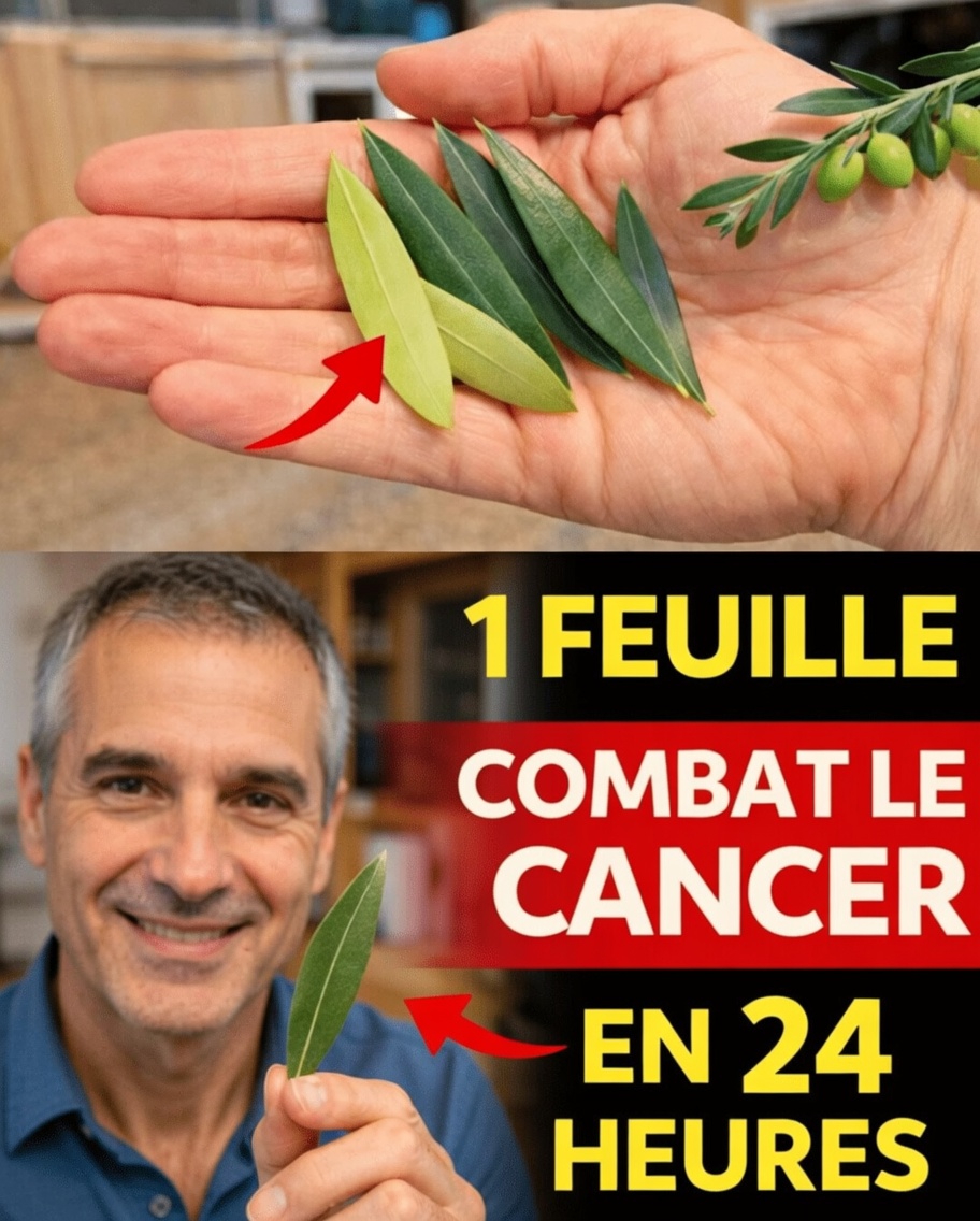 La feuille dont tout le monde parle : exploration des feuilles miracles et de leur rôle potentiel dans le bien-être