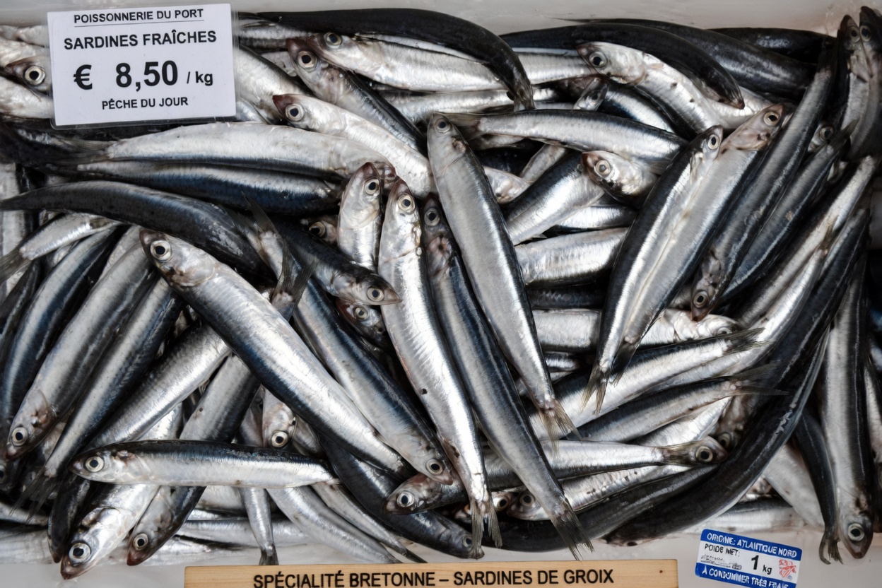 Plus de 60 ans ? Les 4 PIRES poissons que vous ne devriez JAMAIS toucher et les 4 que vous DEVEZ manger | Santé des seniors