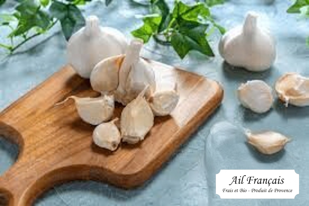 Vous mangez de l’ail tous les jours ? Évitez ces 10 erreurs dangereuses que les seniors de plus de 60 ans doivent connaître
