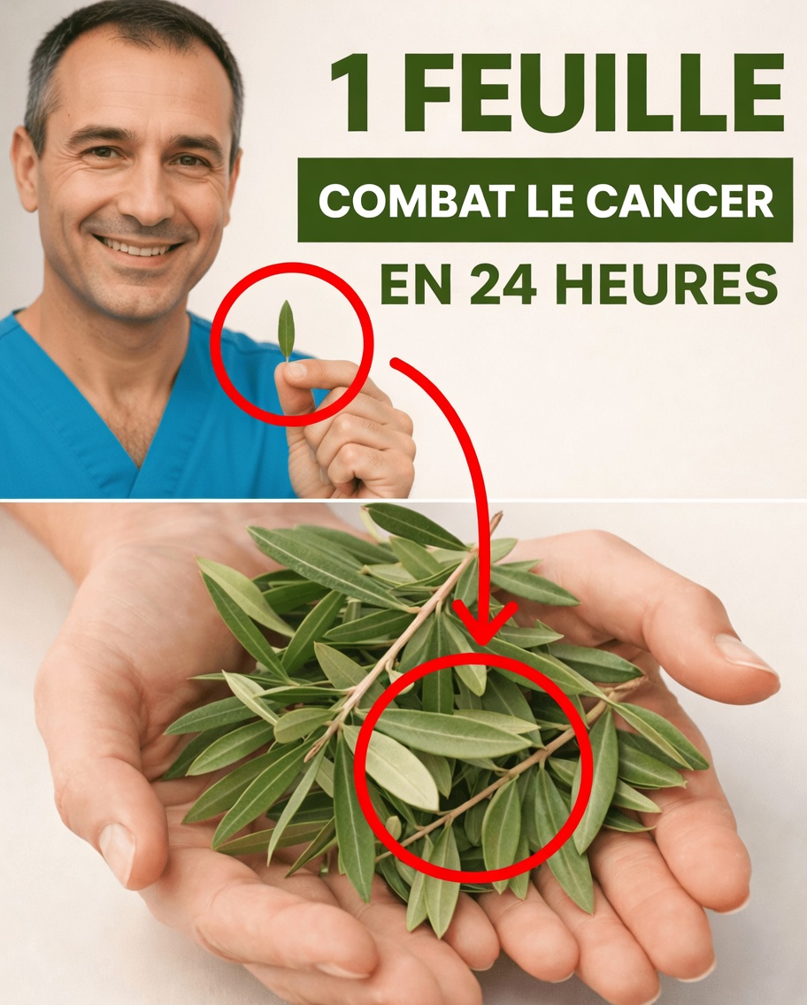 La feuille dont tout le monde parle : exploration des feuilles de corossol et de leur rôle potentiel dans le bien-être