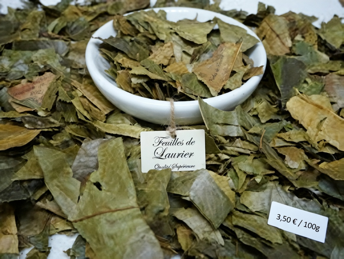 La feuille dont tout le monde parle : exploration des feuilles de corossol et de leur rôle potentiel dans le bien-être