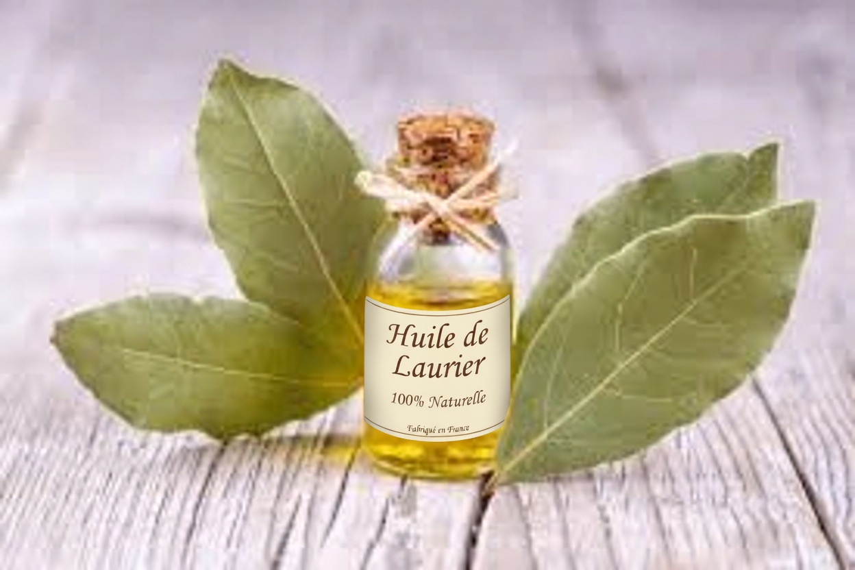 Feuille de laurier contre les rides : réalité ou fiction – explorer des moyens naturels pour favoriser une peau d’apparence plus lisse