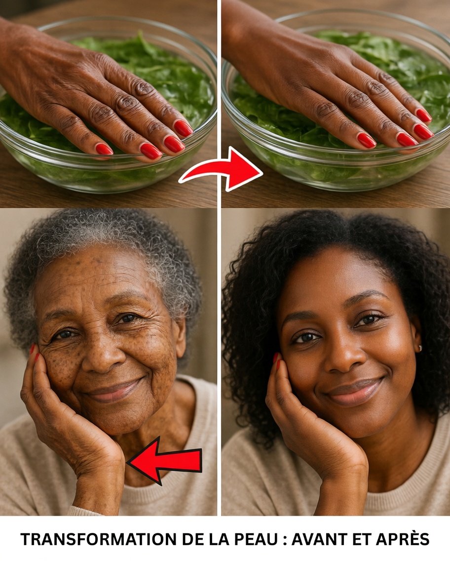 Feuille de laurier contre les rides : réalité ou fiction – Explorer des moyens naturels de favoriser une apparence de peau jeune