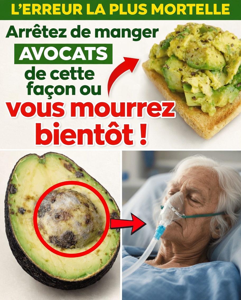 Mangez des avocats ? Évitez CES 6 ERREURS dangereuses | Les erreurs à éviter avec les avocats que les seniors DOIVENT connaître | Santé des seniors