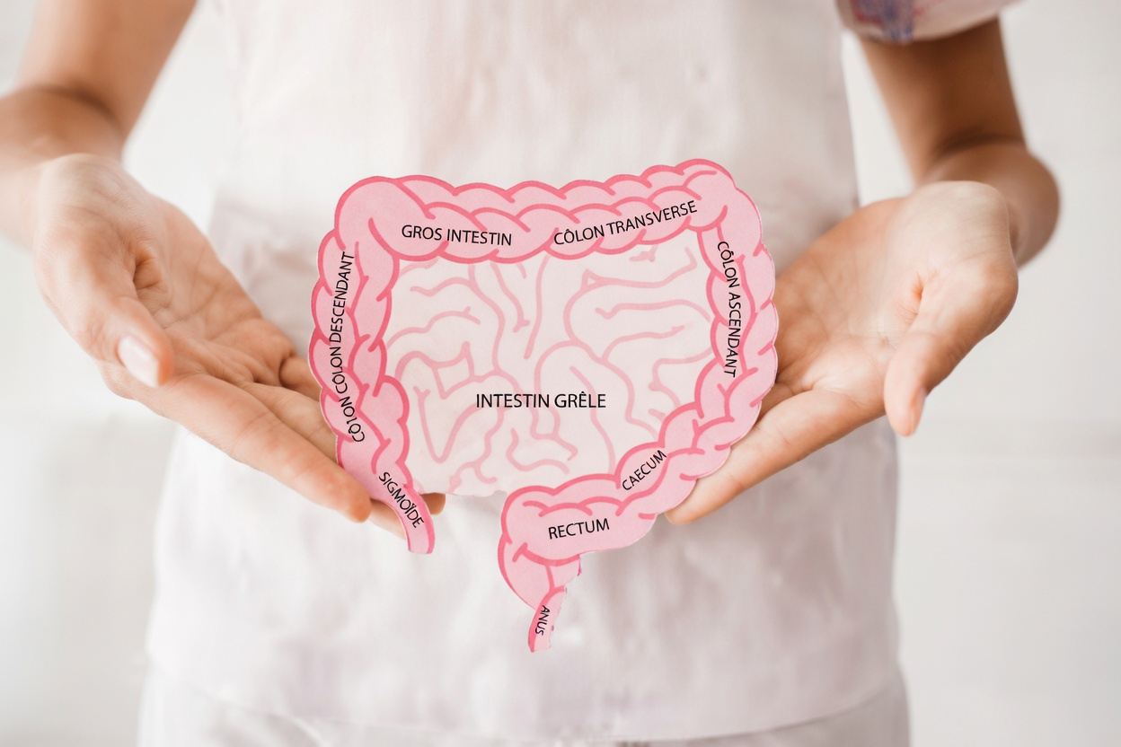 Arrêtez de prendre des probiotiques : cette seule épice élimine instantanément les mauvaises bactéries intestinales