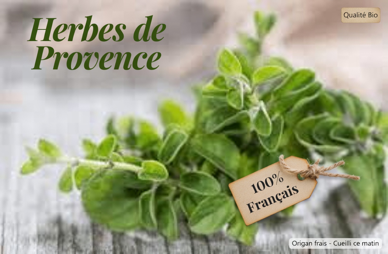 L’origan pour la santé oculaire après 40 ans : un soutien antioxydant naturel et des habitudes quotidiennes faciles