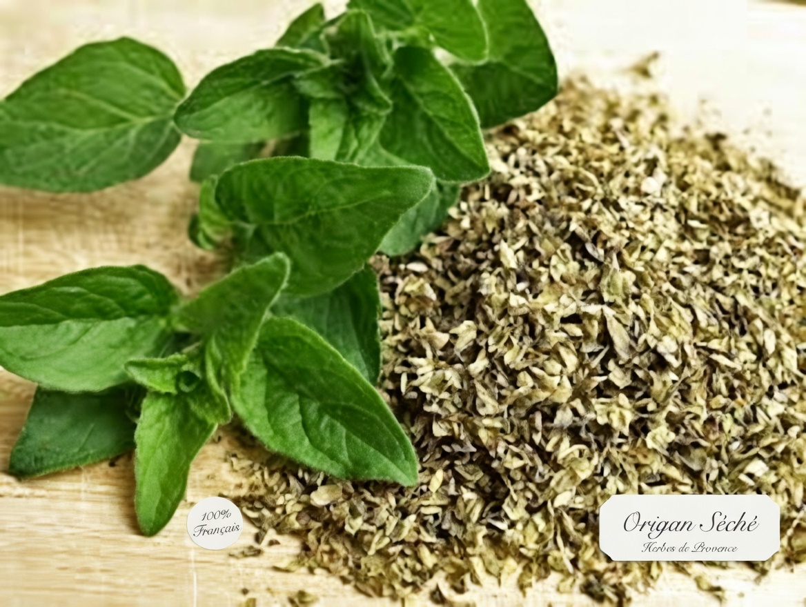 L’origan pour la santé oculaire après 40 ans : un soutien antioxydant naturel et des habitudes quotidiennes faciles