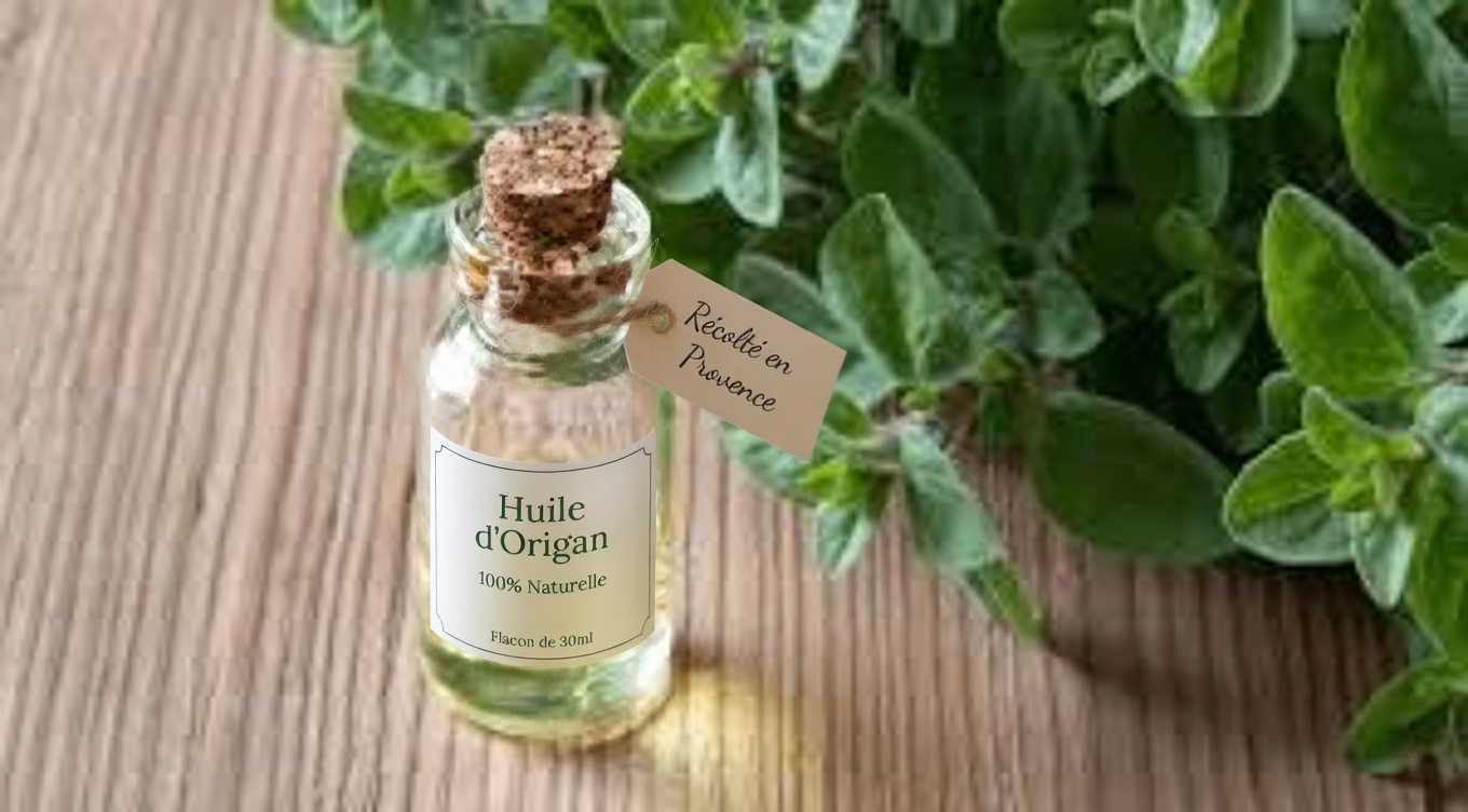 L’origan pour la santé oculaire après 40 ans : un soutien antioxydant naturel et des habitudes quotidiennes faciles