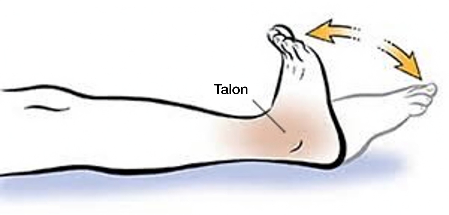 Un chirurgien RÉVÈLE : Faites CET exercice contre une mauvaise circulation des jambes après 60 ans