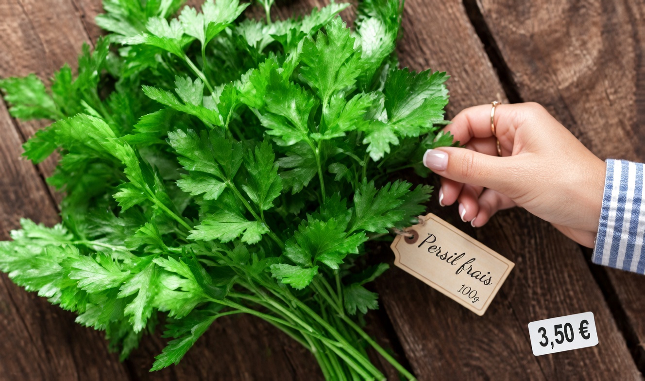 Top 3 des épices qui éliminent INSTANTANÉMENT les toxines et guérissent naturellement les reins – sentez-vous plus léger en QUELQUES JOURS !