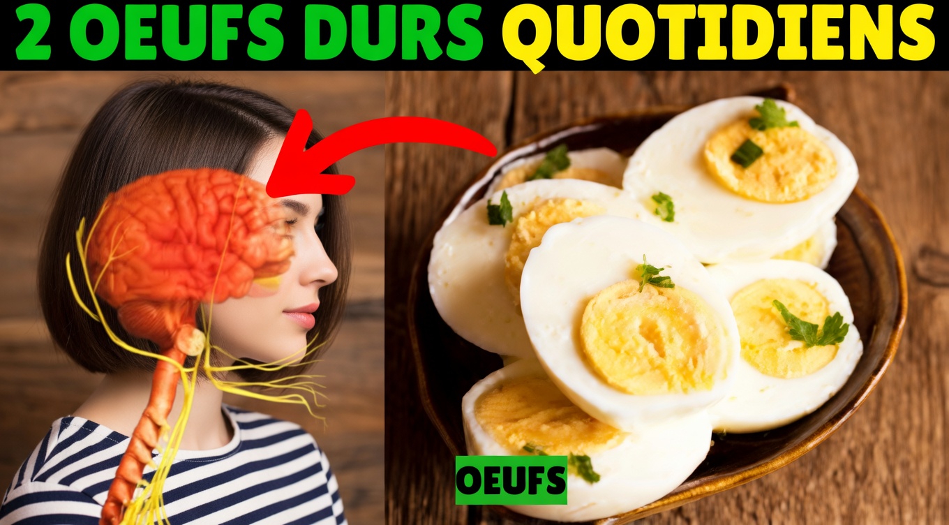Que se passe-t-il dans votre corps lorsque vous mangez 2 œufs durs chaque matin : 10 bienfaits potentiels
