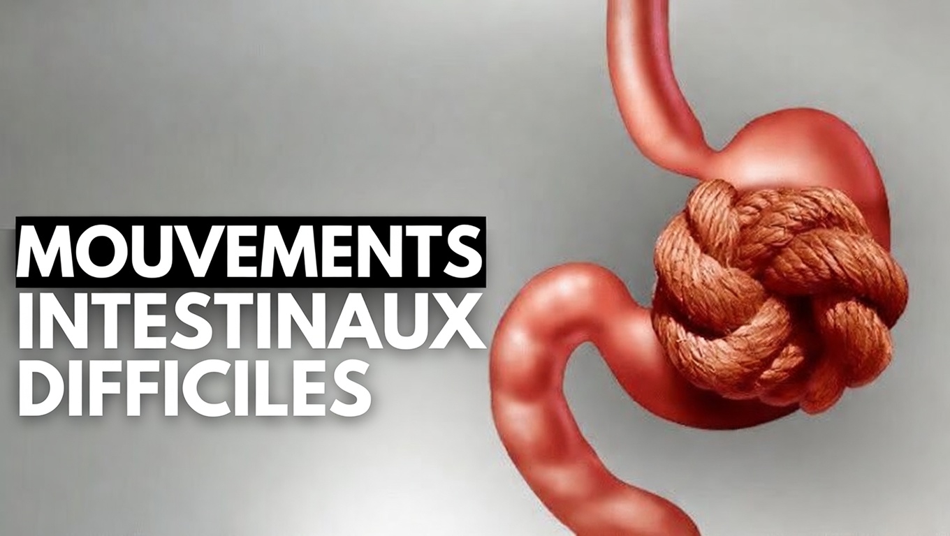 Pourquoi faire caca semble-t-il si difficile ? Comment fonctionnent vos intestins et des habitudes simples pour favoriser des selles plus faciles