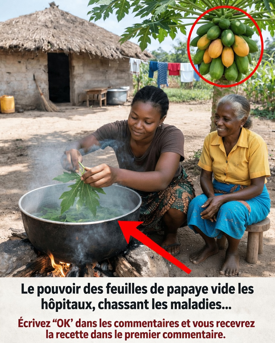 Boisson à la feuille de papaye : un remède naturel que beaucoup de gens utilisent pour favoriser le bien-être général