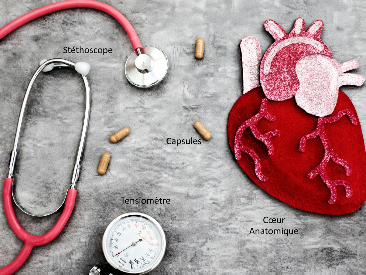 Le médicament contre l’hypertension le plus utilisé pourrait nuire à la santé cardiaque, selon une étude