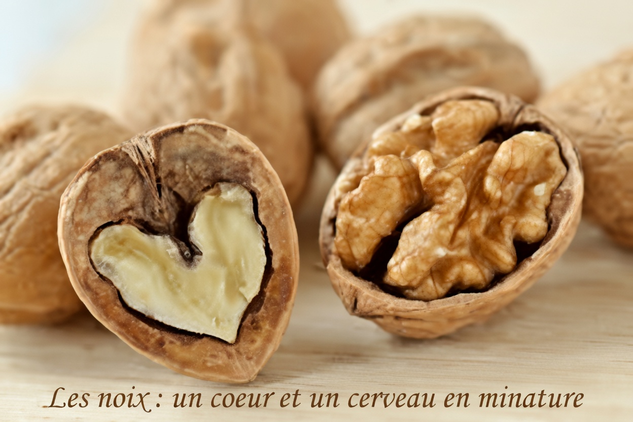 Un médecin révèle 5 en-cas puissants qui aident votre corps à combattre le cancer et les maladies