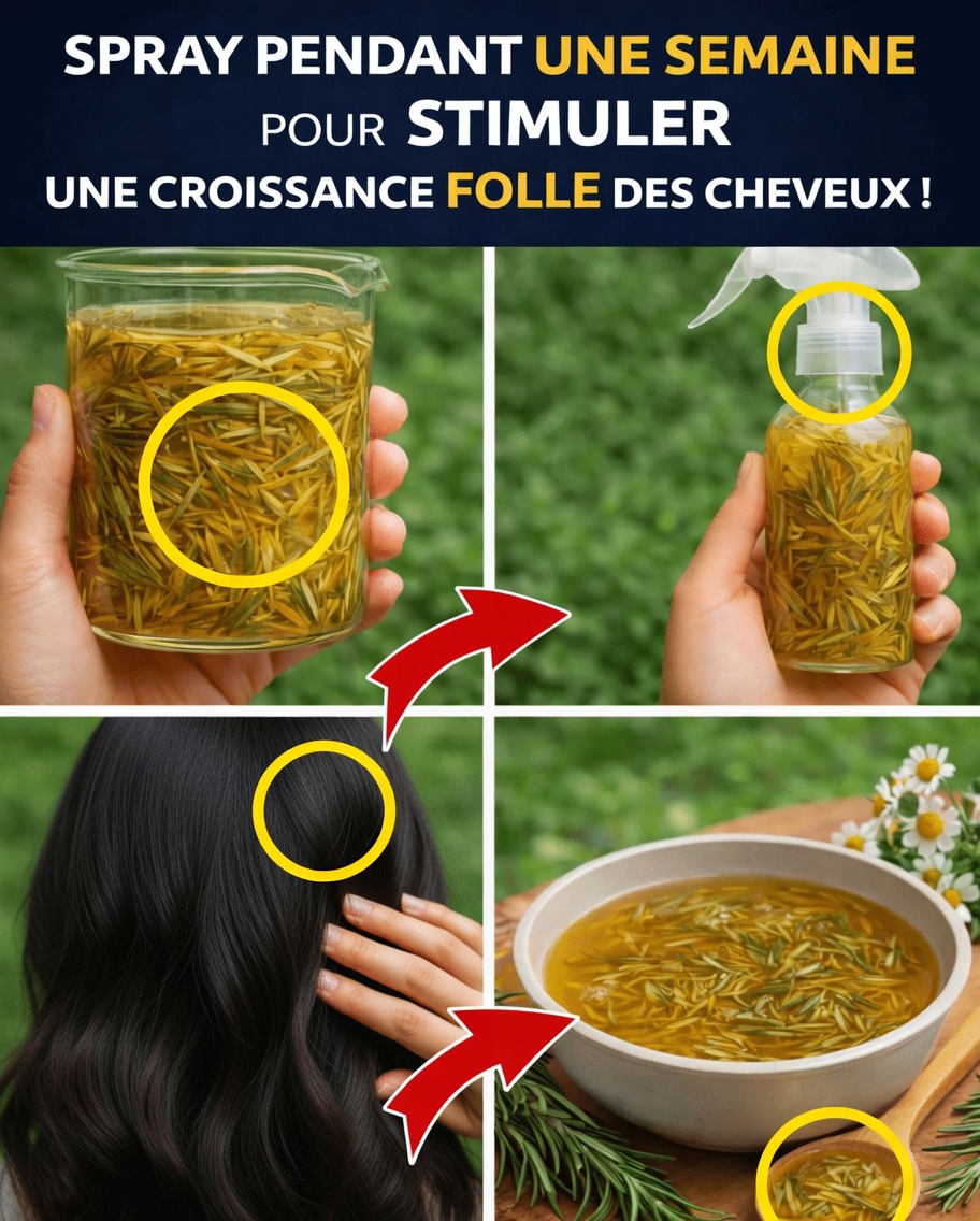 Explorer le rituel tonique capillaire au romarin et au clou de girofle pour des cheveux d’apparence plus saine dans votre routine du soir