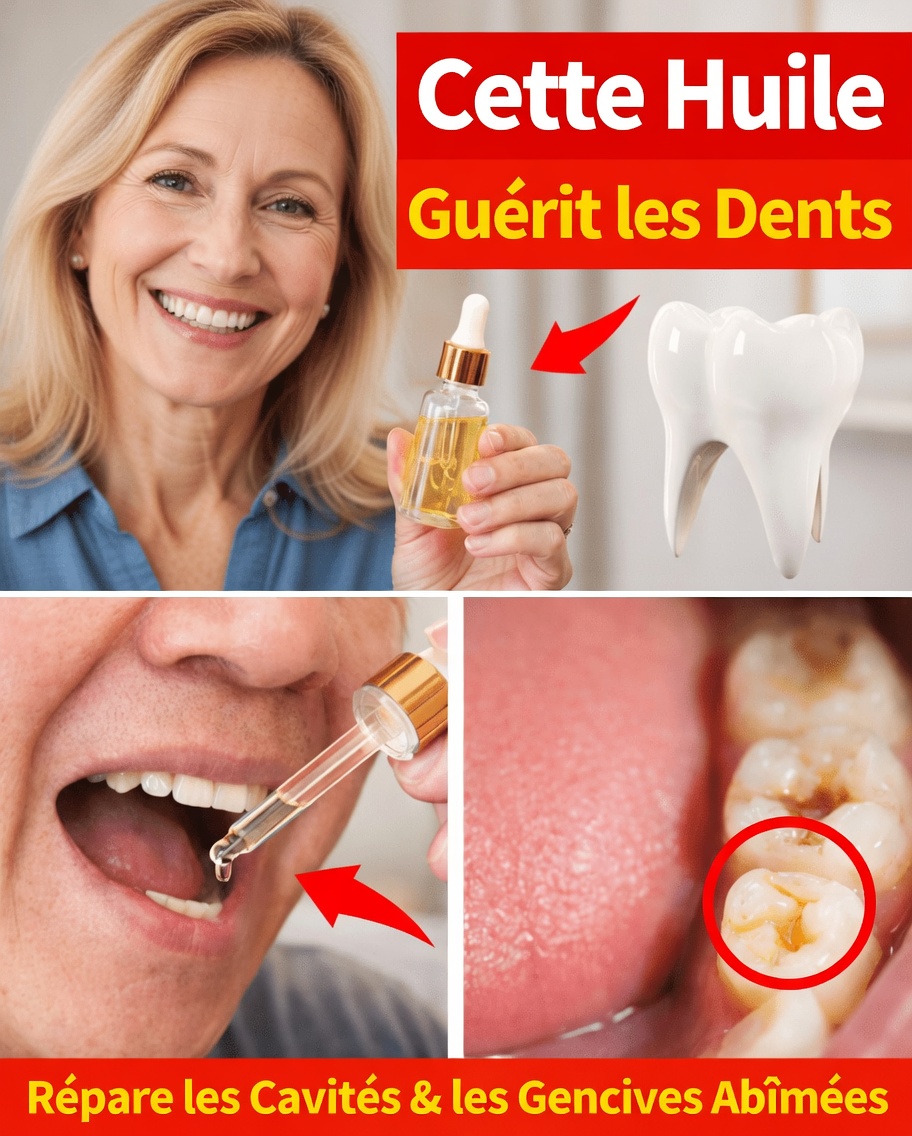 Comment Une Goutte de Cette Huile Peut Soutenir la Santé de Vos Dents et Votre Routine Quotidienne de Soin Bucco-Dentaire