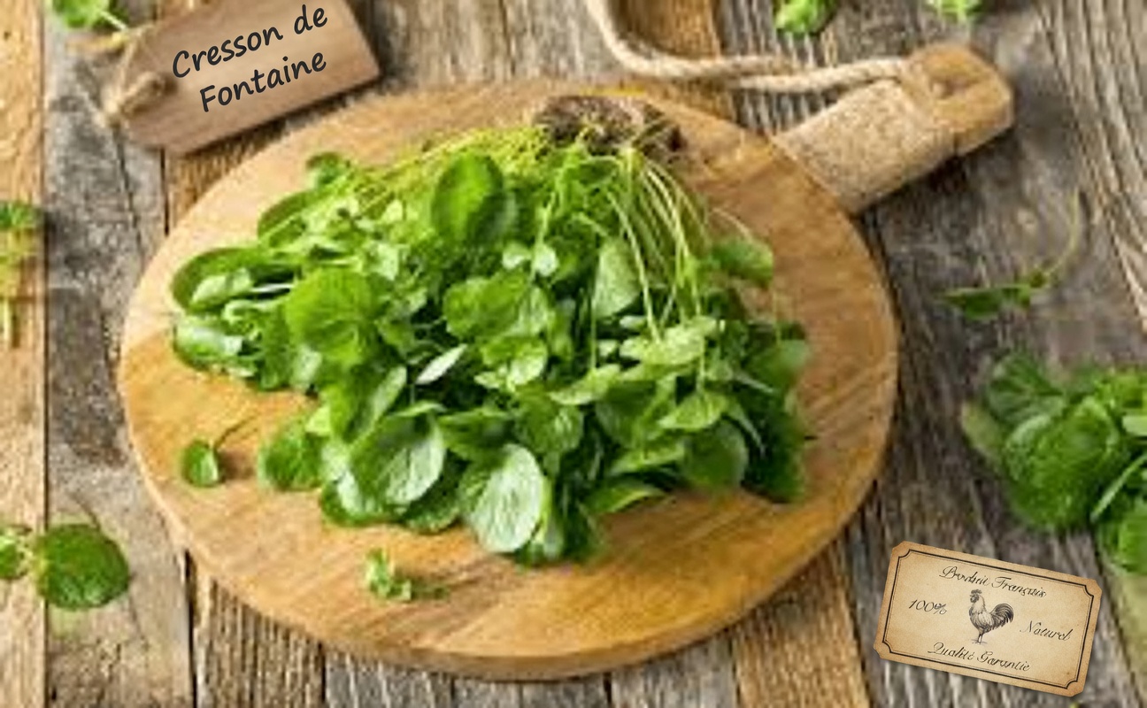 Un médecin lauréat du prix Nobel : il suffit de manger ces aliments chaque jour pour favoriser une vie plus longue et en meilleure santé