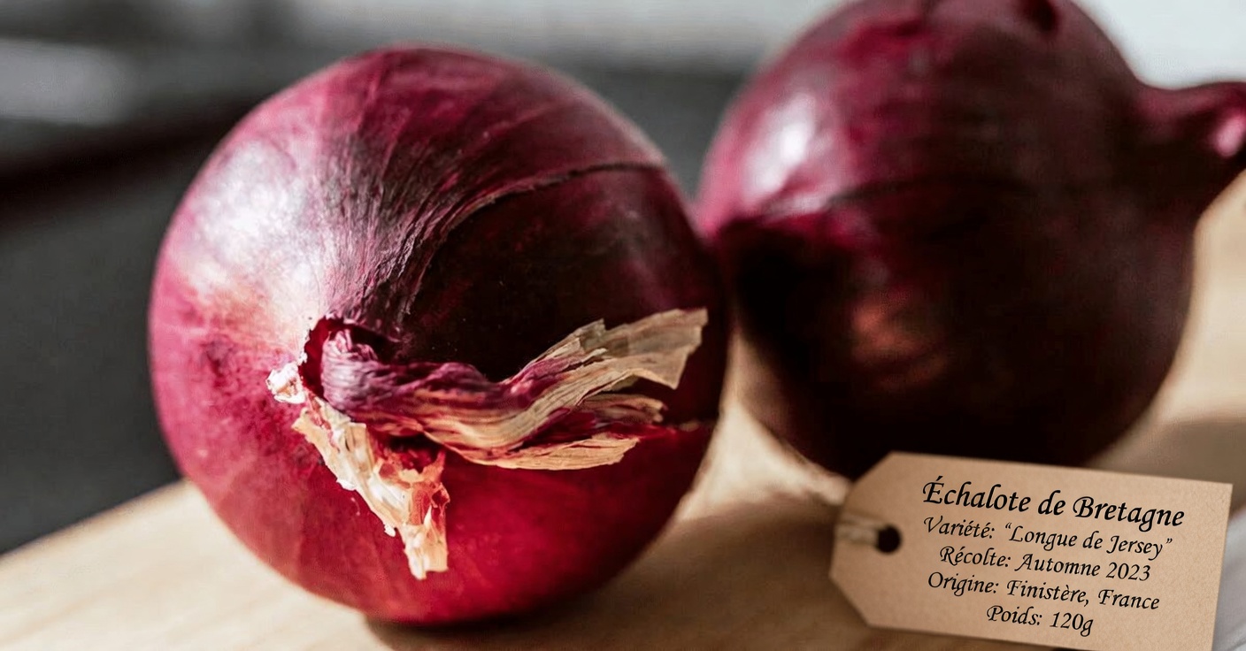 Comment l’oignon rouge peut favoriser un bon équilibre de la glycémie avec cette recette simple du quotidien