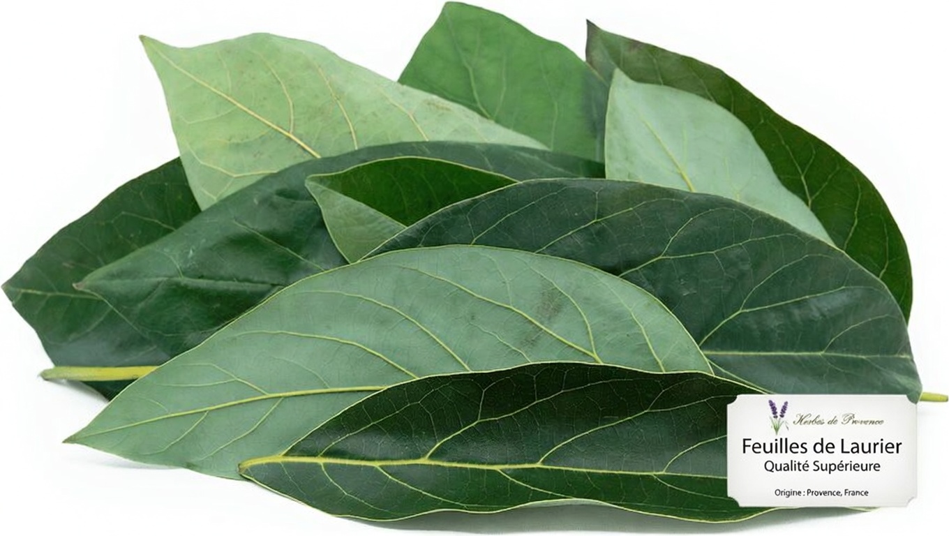 Découvrez quatre feuilles qui peuvent naturellement favoriser une glycémie saine, la santé du foie, la circulation et la tension artérielle