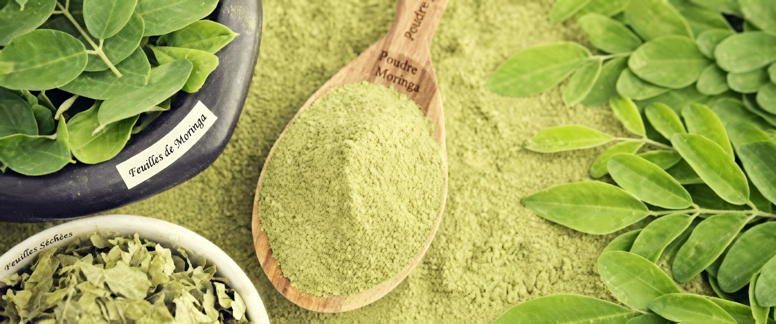 Cette feuille puissante pourrait aider à combattre le cancer – pourquoi personne n’en parle ?