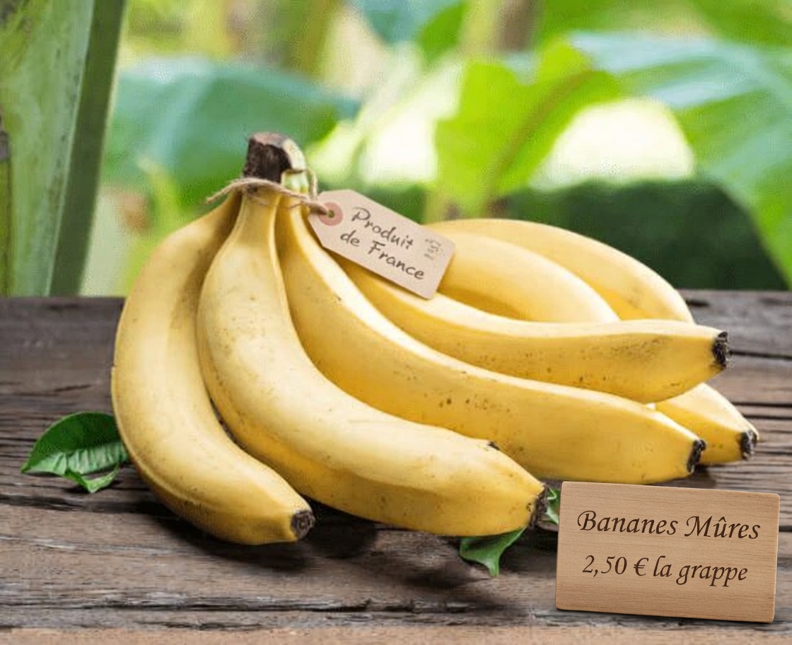 Taux de créatinine élevés ? 3 fruits à consommer sans risque et 3 à limiter pour soutenir la santé des reins