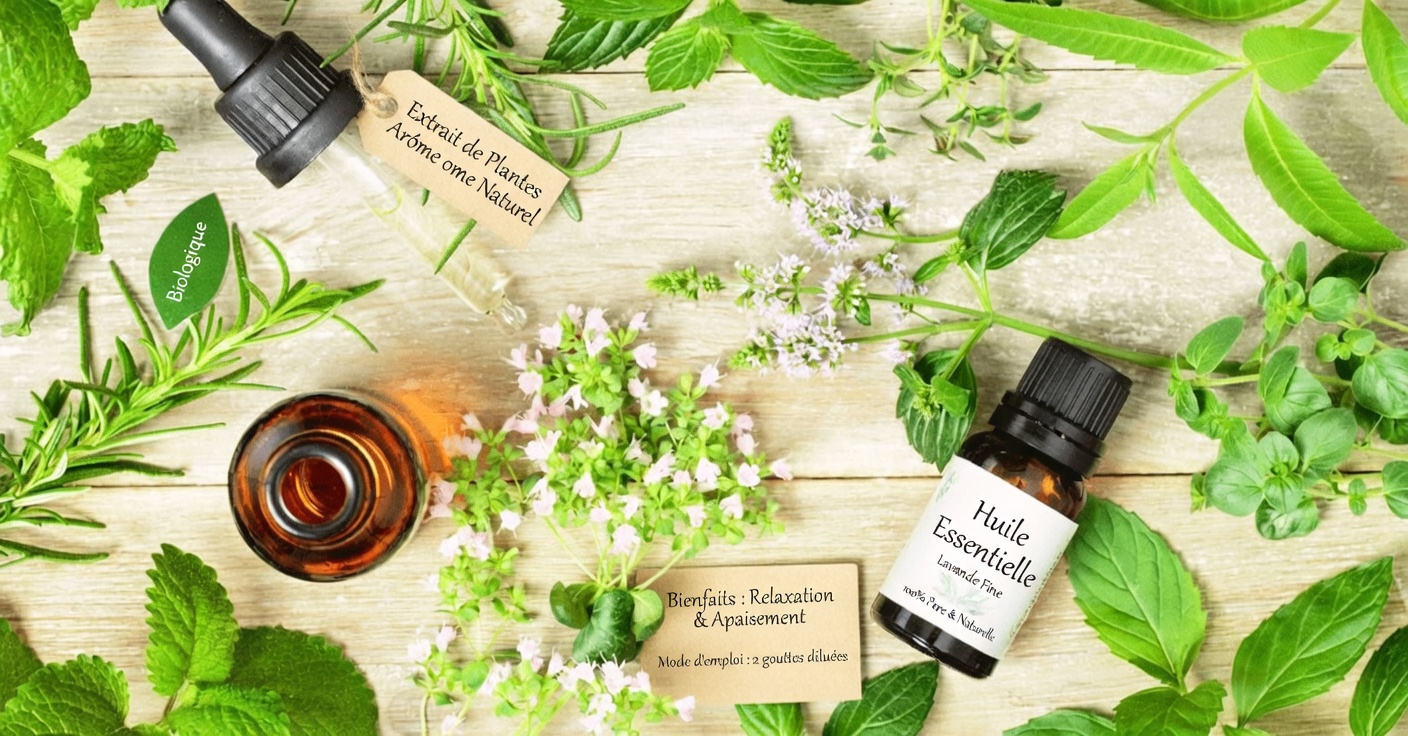 9 remèdes naturels maison contre les infections fongiques : des conseils simples au quotidien pour soutenir le confort et le bien-être de la peau