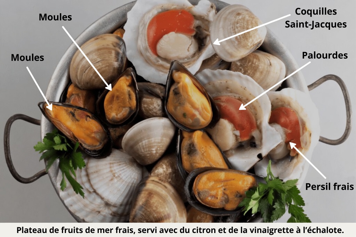 Personnes âgées ayant des problèmes rénaux : découvrez 6 protéines à limiter et 4 options plus sûres