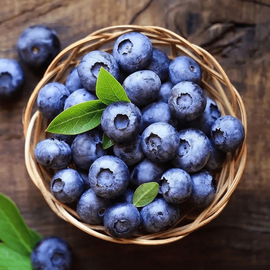 12 superaliments qui réduisent rapidement la créatinine et améliorent la santé rénale – baisse de 0,5 mg/dL en 14 jours