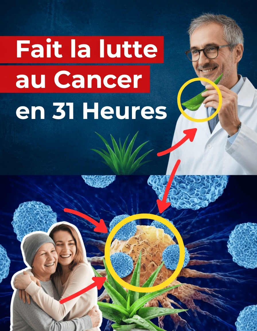 La feuille anticancer que les médecins ignorent : le trésor caché de Barbara O’Neill