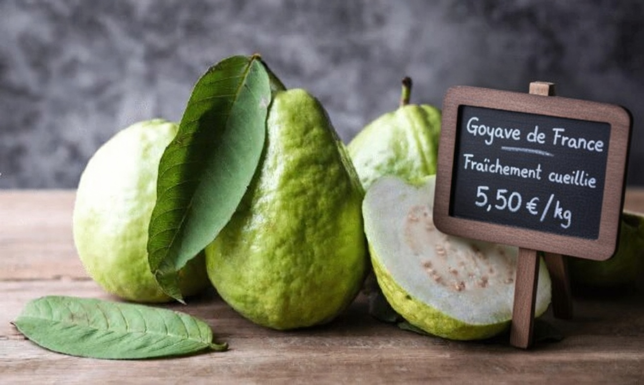 Plus de 40 ans : 10 façons méconnues dont la goyave peut aider à soutenir la santé des yeux que la plupart des gens ignorent (surtout la n°10)