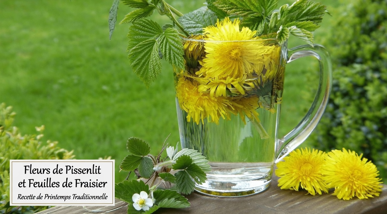 Découvrez les 10 meilleures super boissons rafraîchissantes pour la santé des reins qui peuvent aider à soutenir naturellement votre bien-être