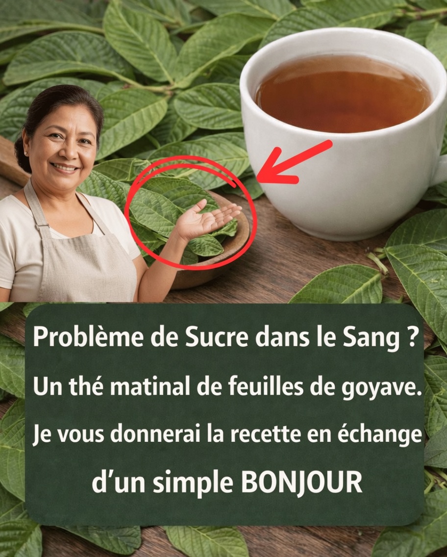Infusion de feuilles de goyavier : la boisson herboriste du quotidien qui pourrait favoriser la digestion, l’équilibre de la glycémie et la santé du cœur