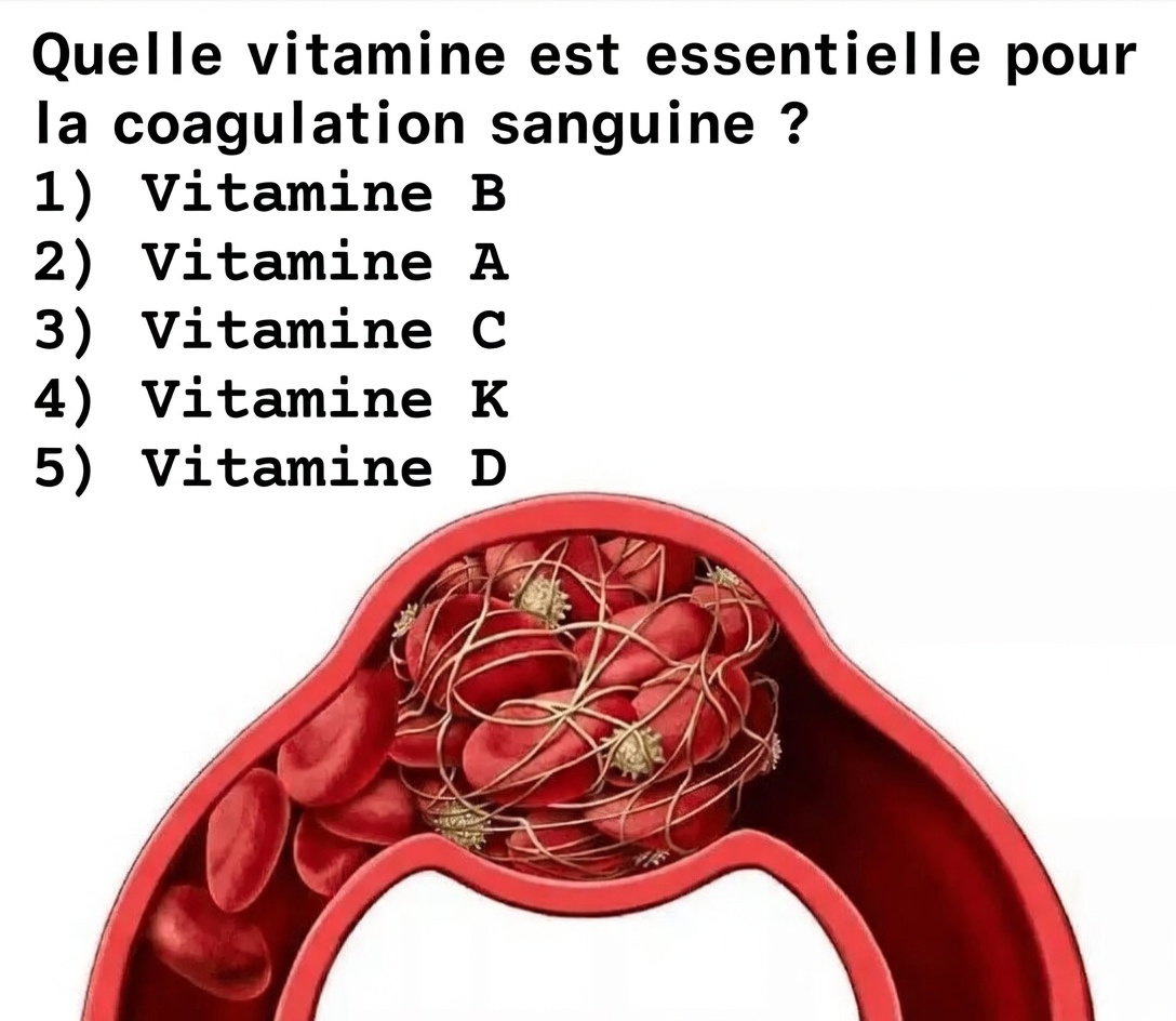 Ce que chaque senior devrait savoir sur les compléments de vitamine E et le risque potentiel d’AVC