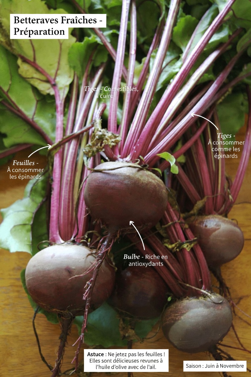 Le « Smoothie Miracle » : une boisson naturelle puissante pour booster l’énergie, purifier le corps et soutenir la santé globale